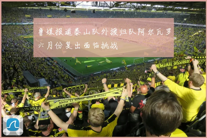 鲁媒报道泰山队外援归队阿尔瓦罗六月份复出面临挑战